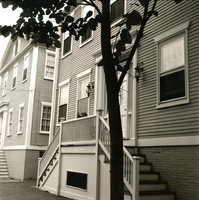 Tree at George Macy House and Job Coleman House, 86 and 88 Main Street, 1994