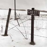 Chests Sign in the Snow, Knox County, Ohio, 1995